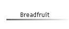 Breadfruit